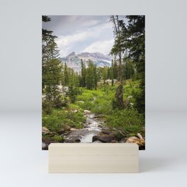 Siberia landscape  Mini Art Print