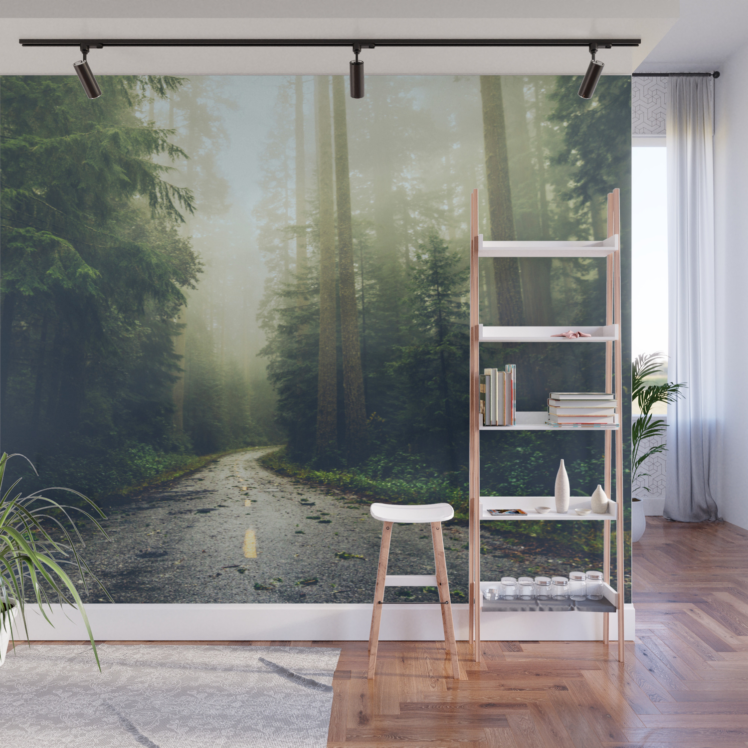 Redwood Forest Adventure Nature Photography Wall Mural By Cascadia Society6