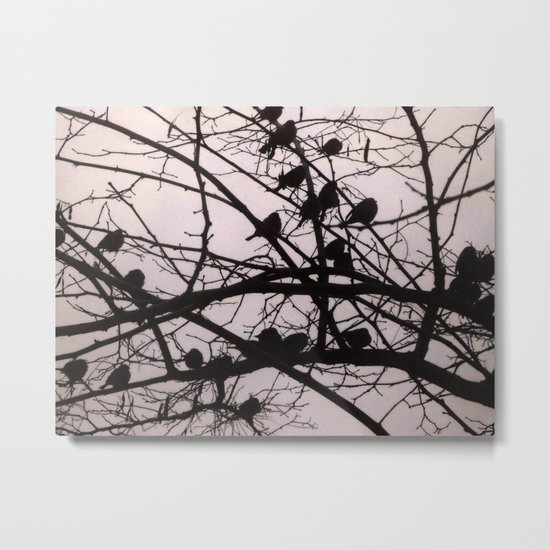 Birds Silhouettes Metal Print