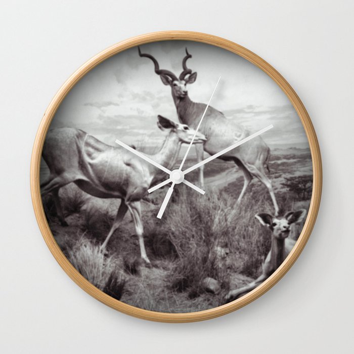 Antelope II Wall Clock