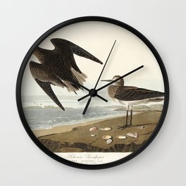 Schinz's Sandpiper from Birds of America (1827) by John James Audubon, etched by William Home Lizars Wall Clock