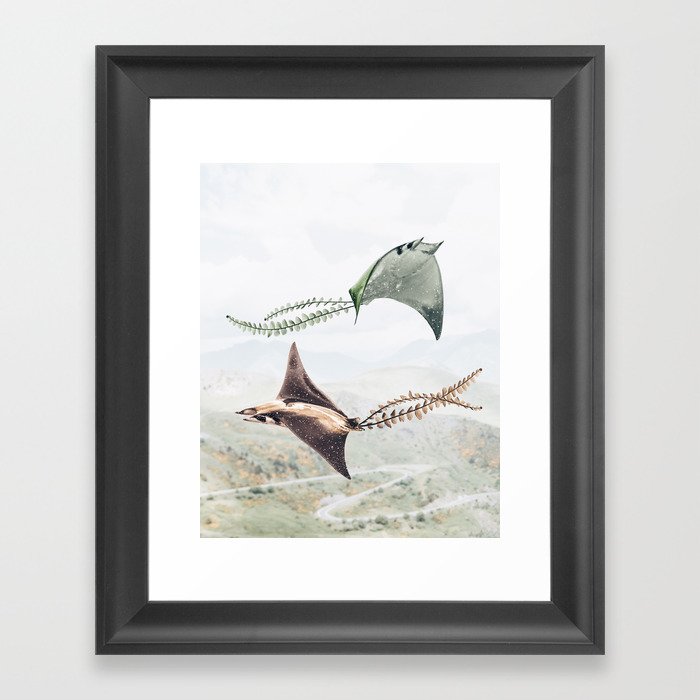 Flying Manta Rays Framed Art Print