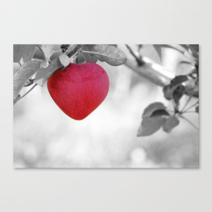 Dramatic Red Heart Shaped Apple on a Black and White Tree Branch Canvas  Print by moonfluff