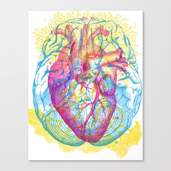 Brain Heart Circulation Canvas Print