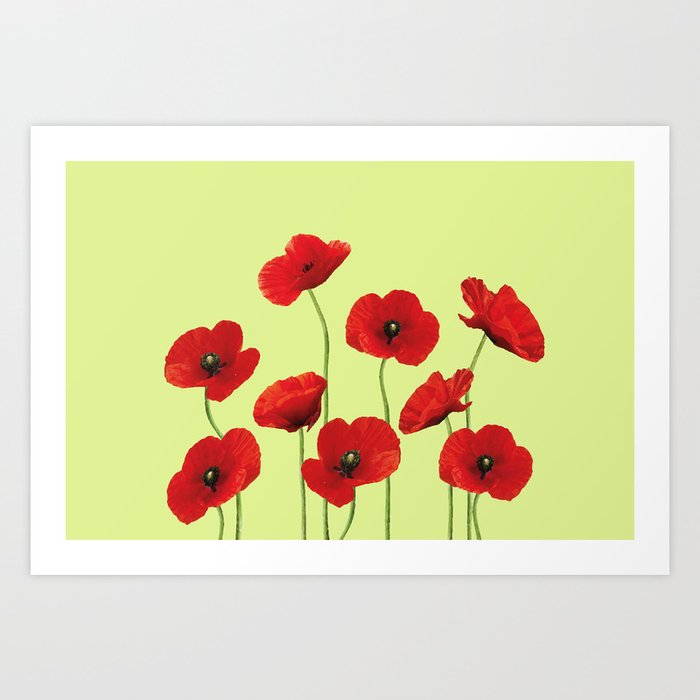 Poppies Flowers red green background #poppies Art Print