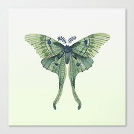 Green Luna Moth 3 Canvas Print