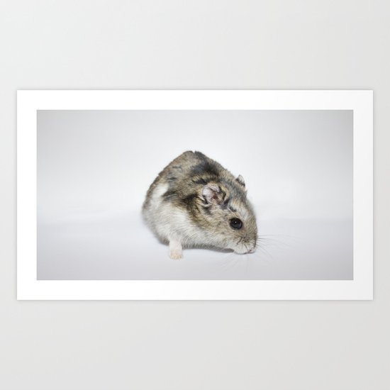 cheesecake (my hamster) Art Print