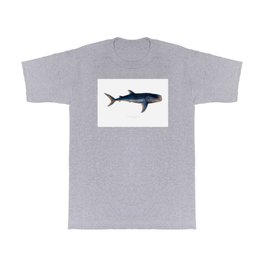 Vintage Whale Shark T Shirt | Whaleshark, Zoology, Naturalhistory, Retro, Wildlife, Drawing, Vintage, Sealife, Biology, Science 