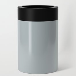 Medium Smoky Blue Gray Solid Color PPG Smoke Screen PPG1038-4 - All One Single Shade Hue Colour Can Cooler