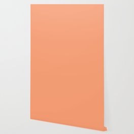 Peach Color Wallpaper For Any Decor Style Society6