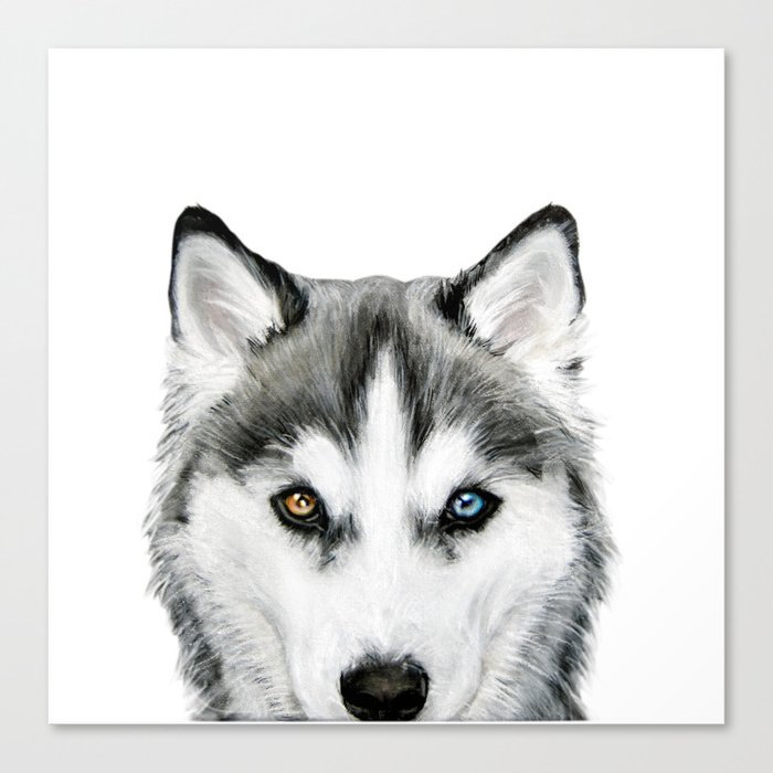 Siberian Husky Dog With Two Eye Color Dog Illustration Original