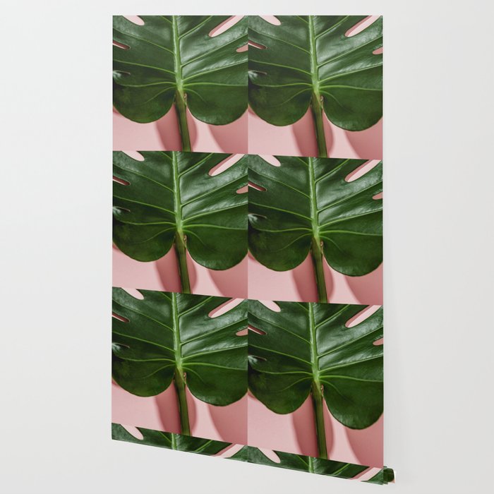 Monstera Wallpaper By Tatjanazlatkovic Society6