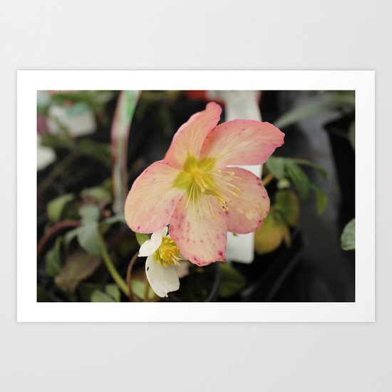 Beauty Part 2 Art Print