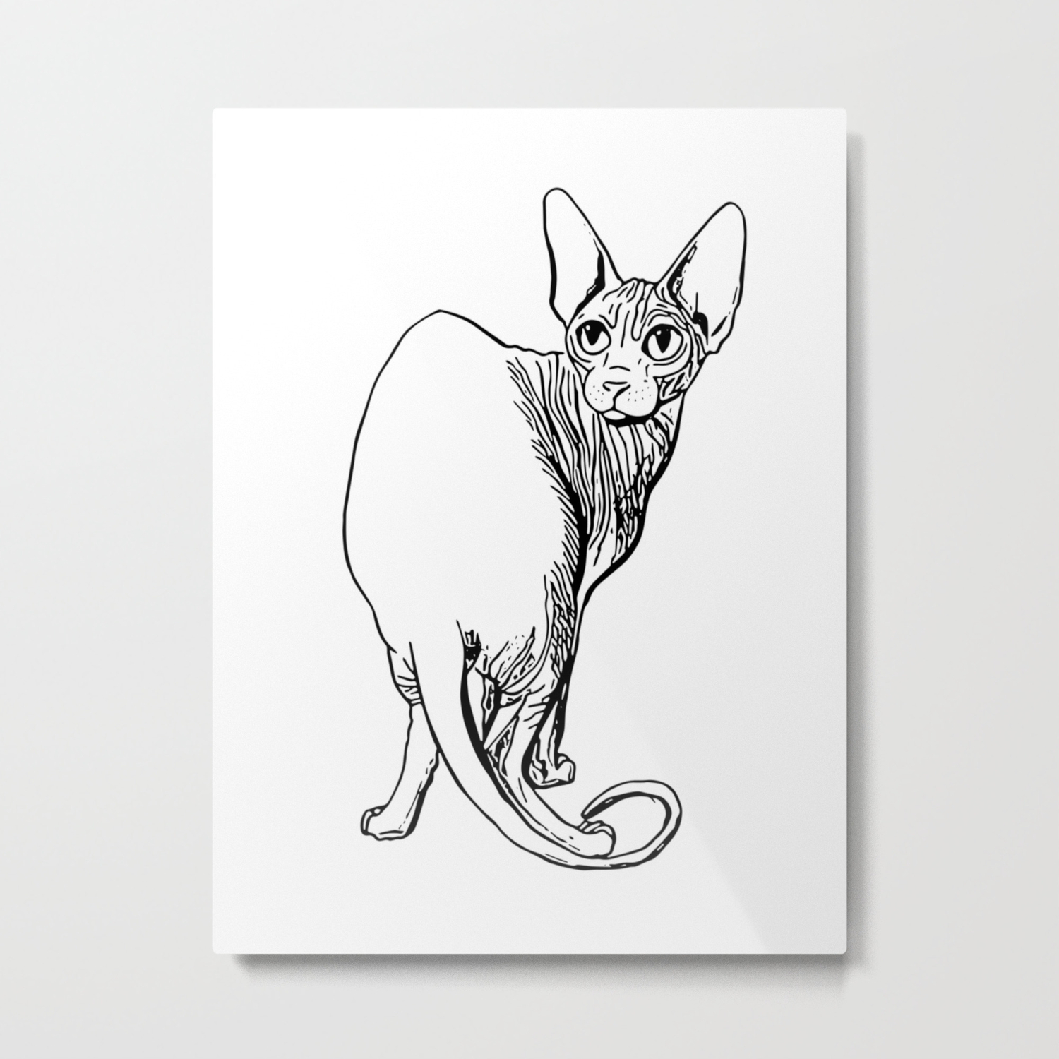 Sphynx Cat Illustration Sphynx Cat Drawing Naked Cat Wrinkly Cat Black And White Metal Print By Ananovakovic Society6