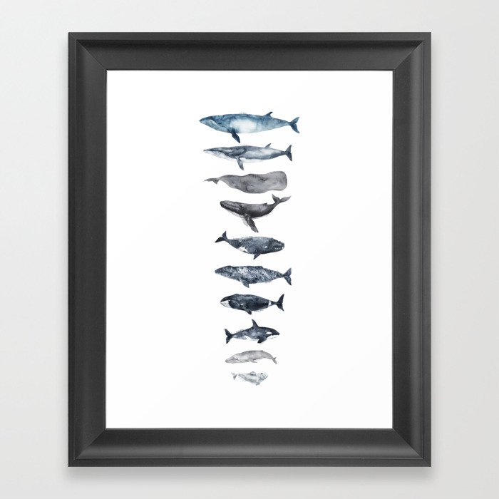 Types of Whales Framed Art Print