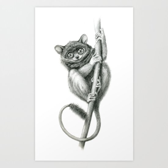 Philippine Tarsier G2012-047 Art Print