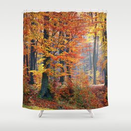 Colorful Autumn Fall Forest Shower Curtain