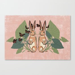 Bunnies Canvas Print