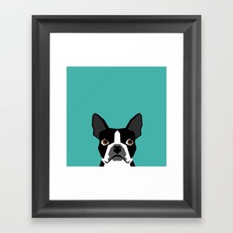 Boston Terrier head dog breed gifts cute pupper boston terriers must haves Framed Art Print