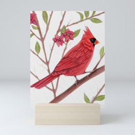 Cardinal Mini Art Print
