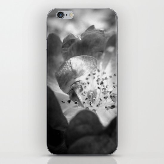 Light Comes From Within iPhone & iPod Skin