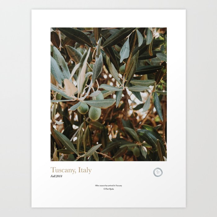 Olive Season in Tuscany Art Print