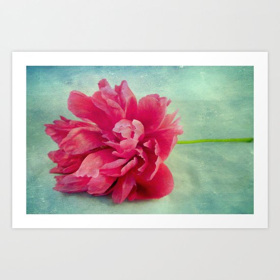 Peony on Blue Art Print