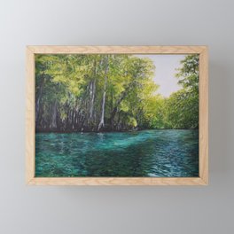 Manatee Springs Framed Mini Art Print