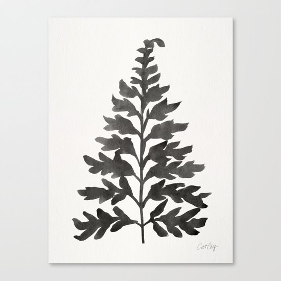 Black Fern Canvas Print