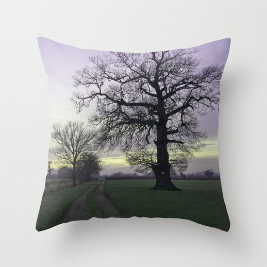 evening light... Throw Pillow
