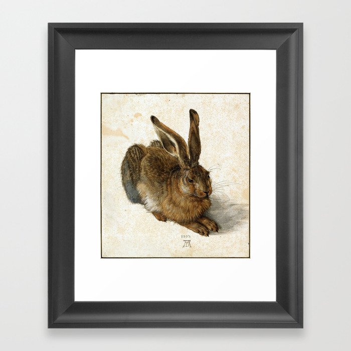 Albrecht Durer - Hare Framed Art Print