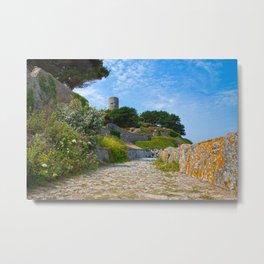 Once Upon a Guernsey Path Metal Print | Photo, Landscape, Architecture 