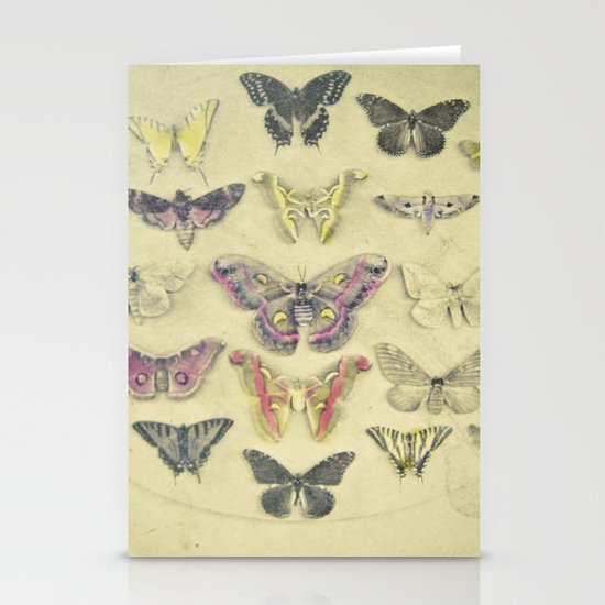 Butterflies and Moths Stationery Cards