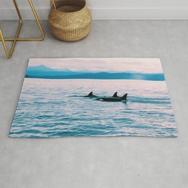 Orcas Swimming Through the Evening Rug