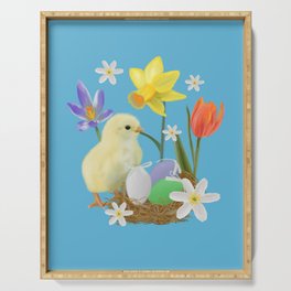 Colorful pattern with easter chicks, easter nests, tulips, daffodils, crocuses, wood anemones Serving Tray