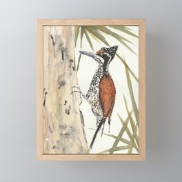 Palm Woodpecker Framed Mini Art Print