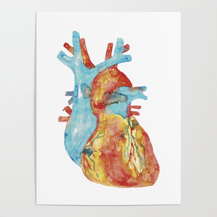 Home Decor Mens Room Decorations for Bedroom Heart Arteries and Veins of  The Human Body Biology Poster Medical Science Watercolor Printable Wall  Decor