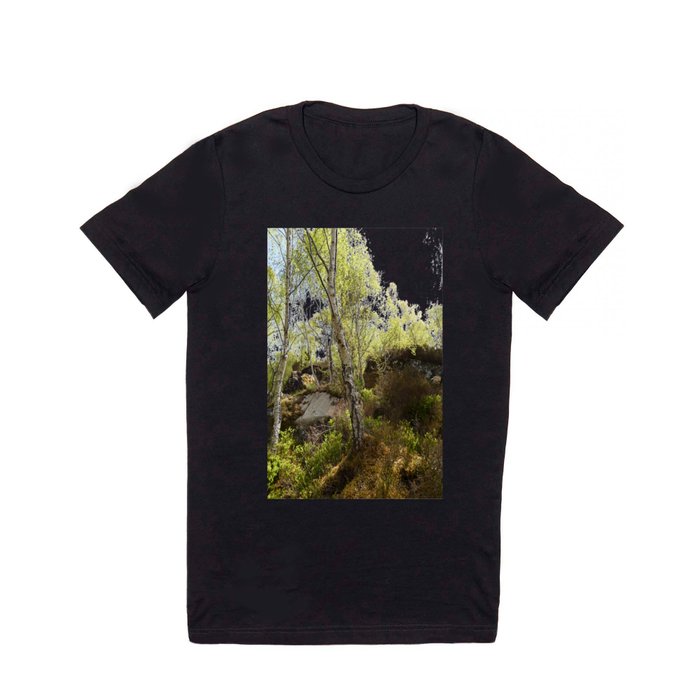Colours of Spring in a Scottish Highlands Birch Woodland T Shirt