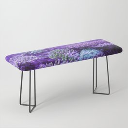 Coral Reef 3 Bench