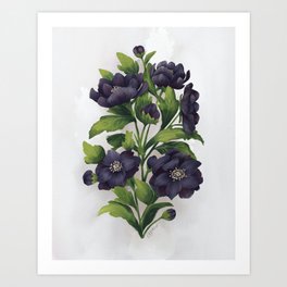 Dark Hellebore Bouquet  Art Print