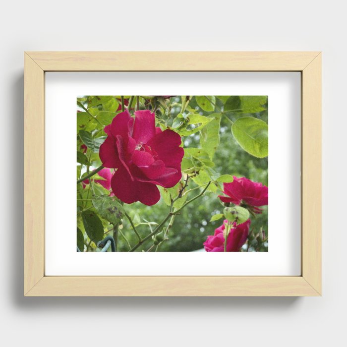 Grainy Nature Recessed Framed Print