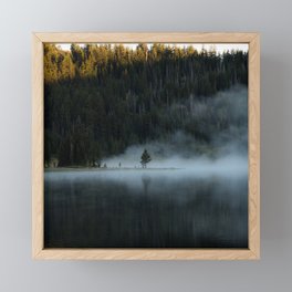 Tree in Mist Framed Mini Art Print