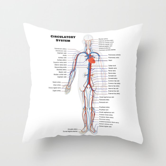 Human Circulatoy System Chart Throw Pillow