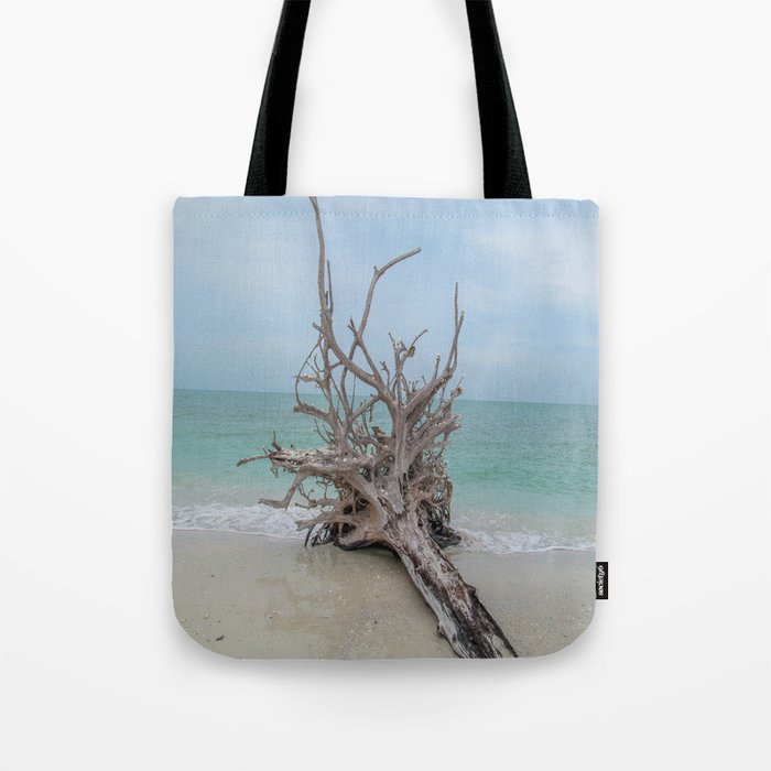 roots tote