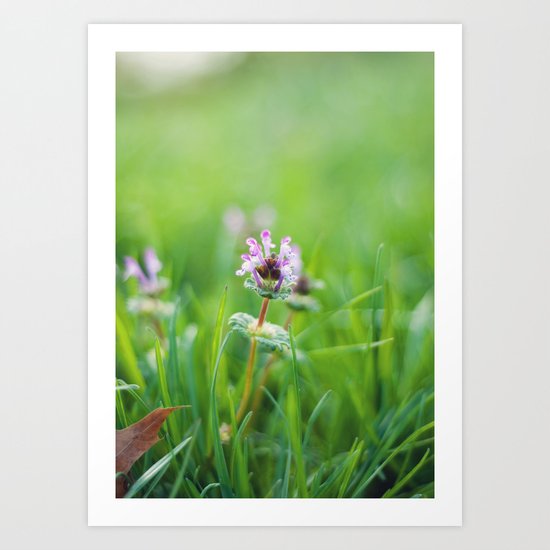 Wild Art Print