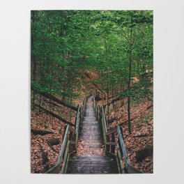 Boardwalk stairs down into the wooded part of a park in Michigan Poster