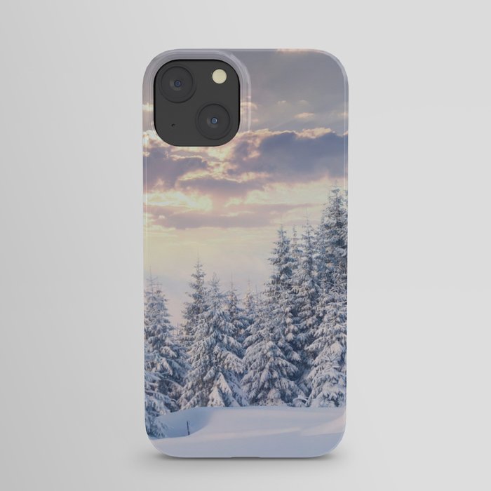 Snow Paradise iPhone Case