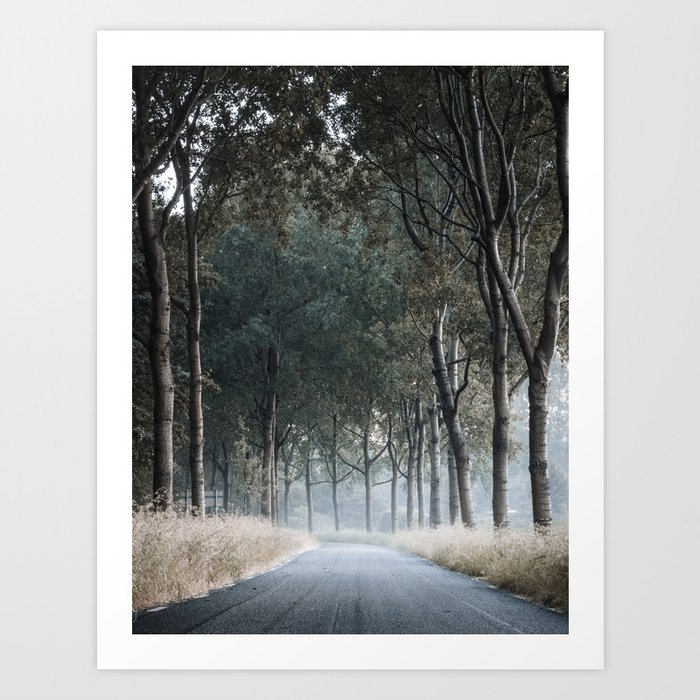 Winding Countryside Road Through Tree Alley Holland Art Print