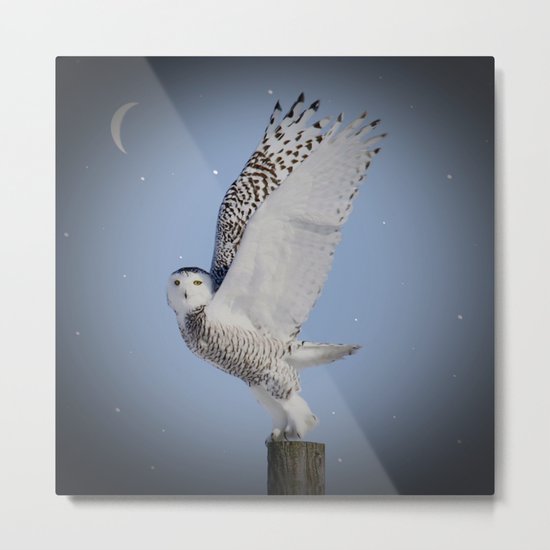 Free at last Metal Print