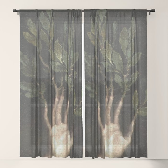 Sheer Curtain